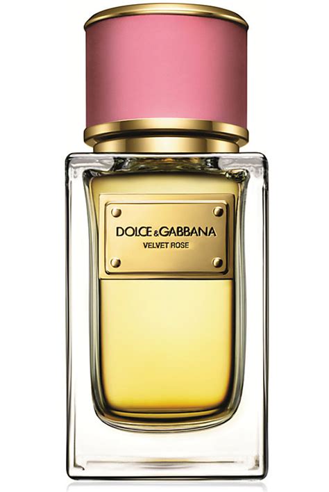 dolce and gabbana perfume notes|dolce and gabbana female perfume.